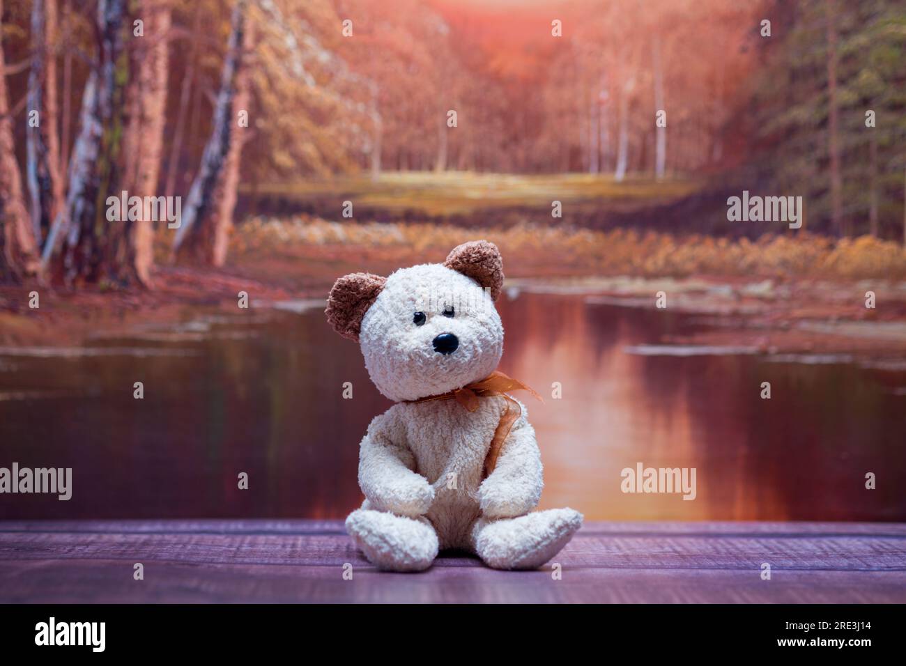 Small Teddy bear sitting on a bench with an autumn scene in the back ...