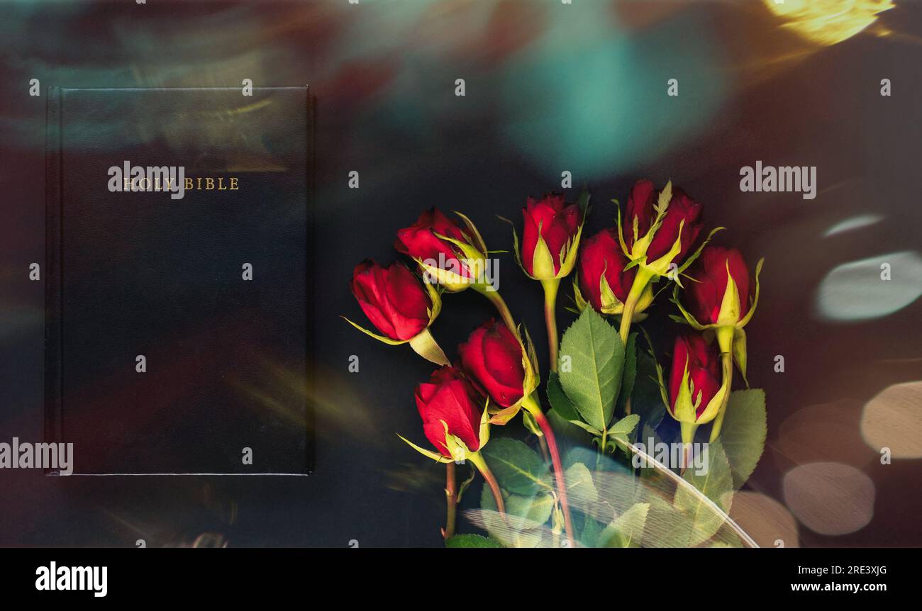 Holy Bible and red roses on the black and red background. Christian ...