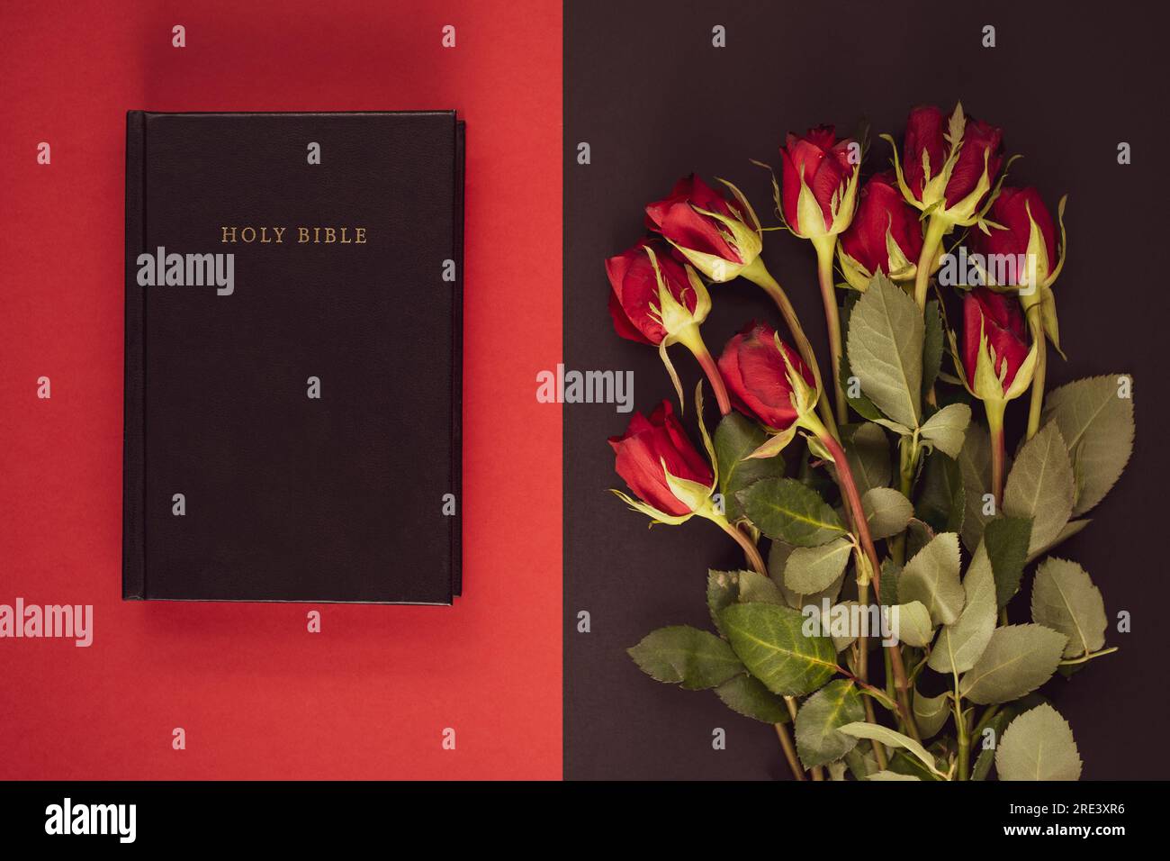 Holy Bible and red roses on the black and red background. Christian ...