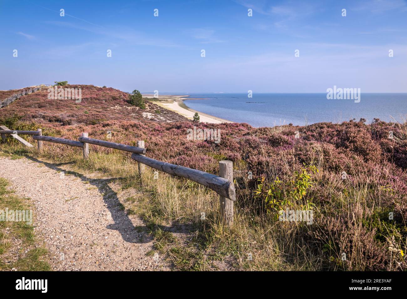 geography / travel, Germany, Schleswig-Holstein, Braderup, Braderup heath at white cliff, Sylt, ADDITIONAL-RIGHTS-CLEARANCE-INFO-NOT-AVAILABLE Stock Photo