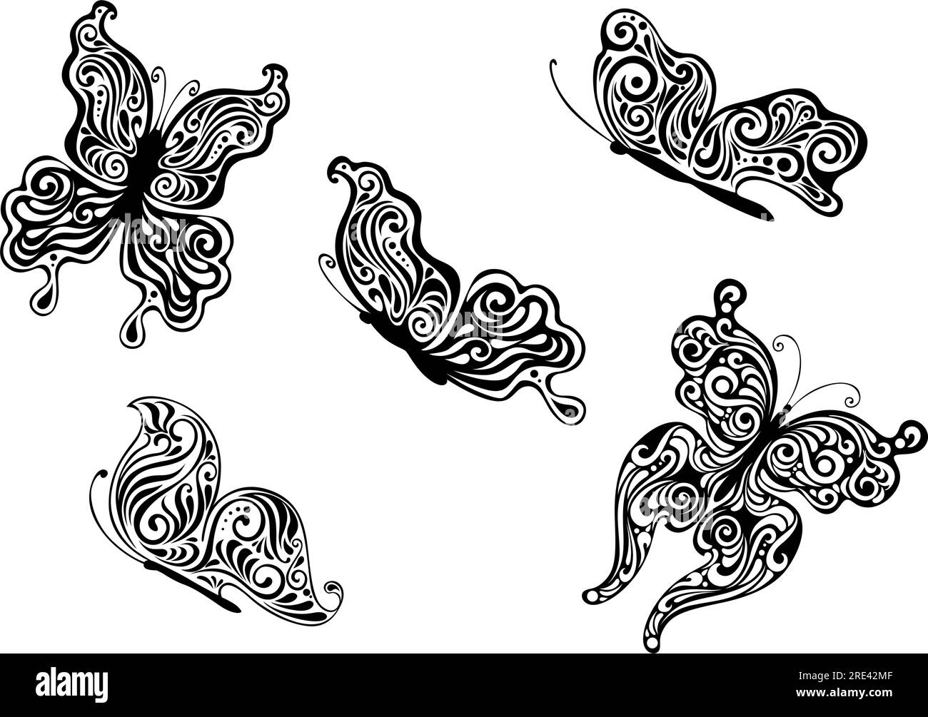 Butterfly wings closed Black and White Stock Photos & Images - Alamy