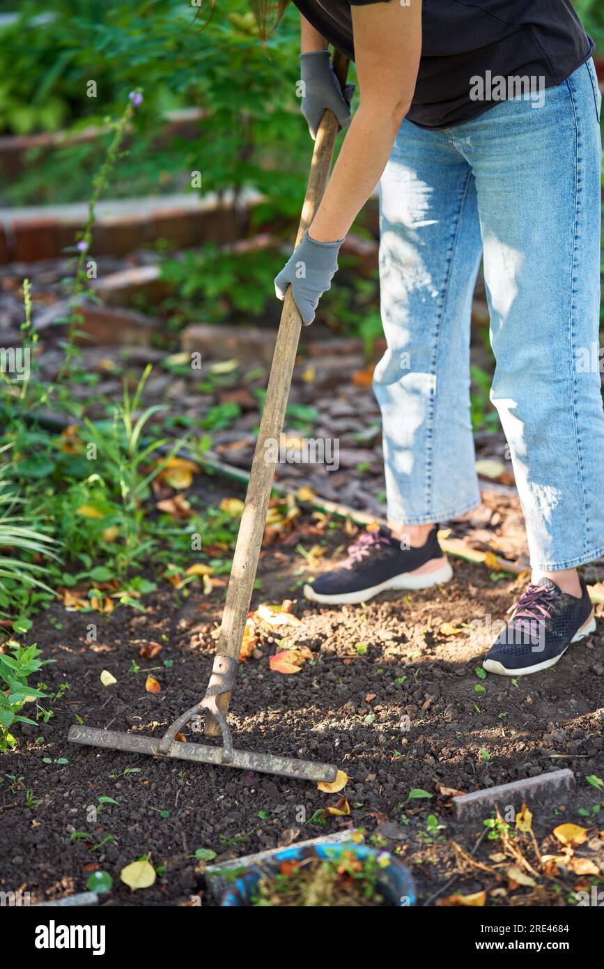 Gardener woman in hat and protective gloves digging soil with rake in ...