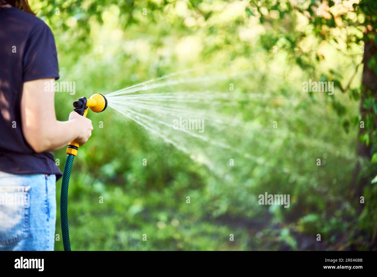 Cropped image of young woman watering flowers and plants in garden with hose in sunny blooming backyard. Gardening work, summer time Stock Photo