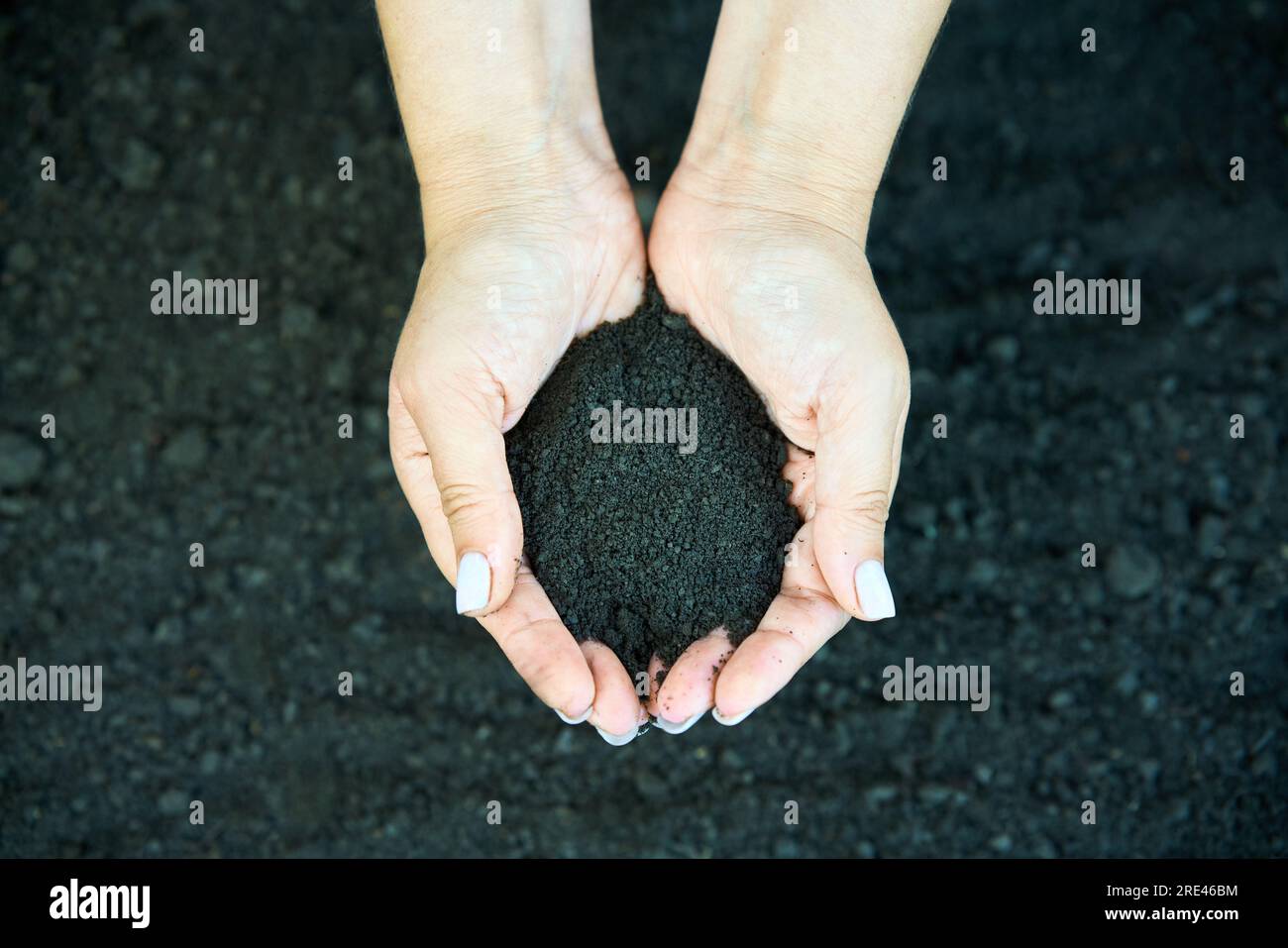 Woman hands holding soil. Top view. New life, eco, sustainable living, zero waste, plastic free, earth day, investment concept. Stock Photo