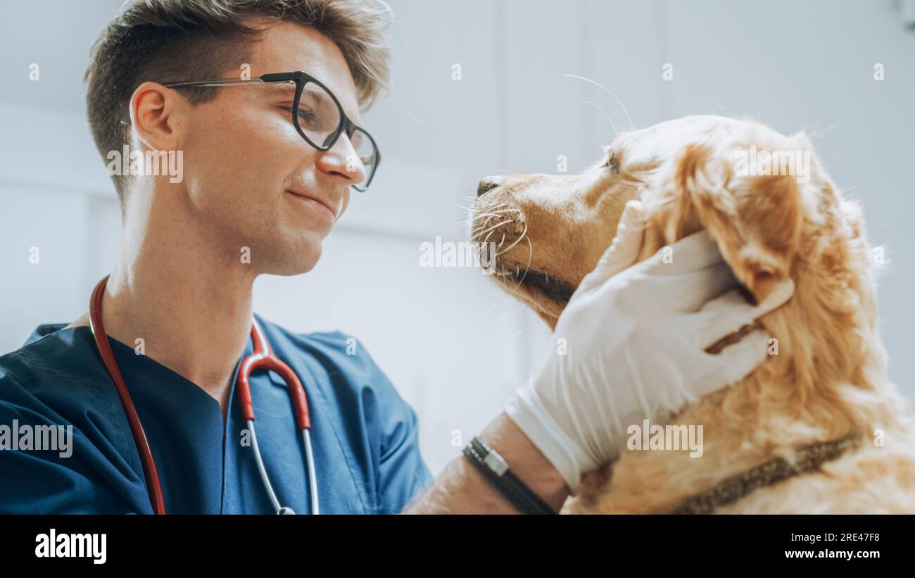 Customer Accompanying Their Domestic Animal at Doctor's Appointment at Veterinary Clinic. Regular Health Check up for Pets Stock Photo