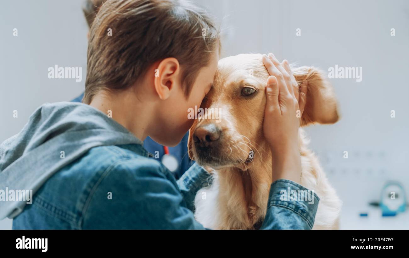 Young Boy Bonding with His Pet Golden Retriever at a Veterinary Clinic. Veterinarian Smiling, Knowing that Nothing Bad Will Happen to His Furry Friend Stock Photo