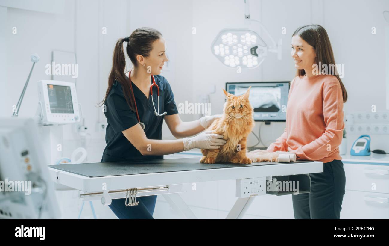 Customer Accompanying Their Domestic Animal at Doctor's Appointment at Veterinary Clinic. Regular Health Check up for Pets Stock Photo