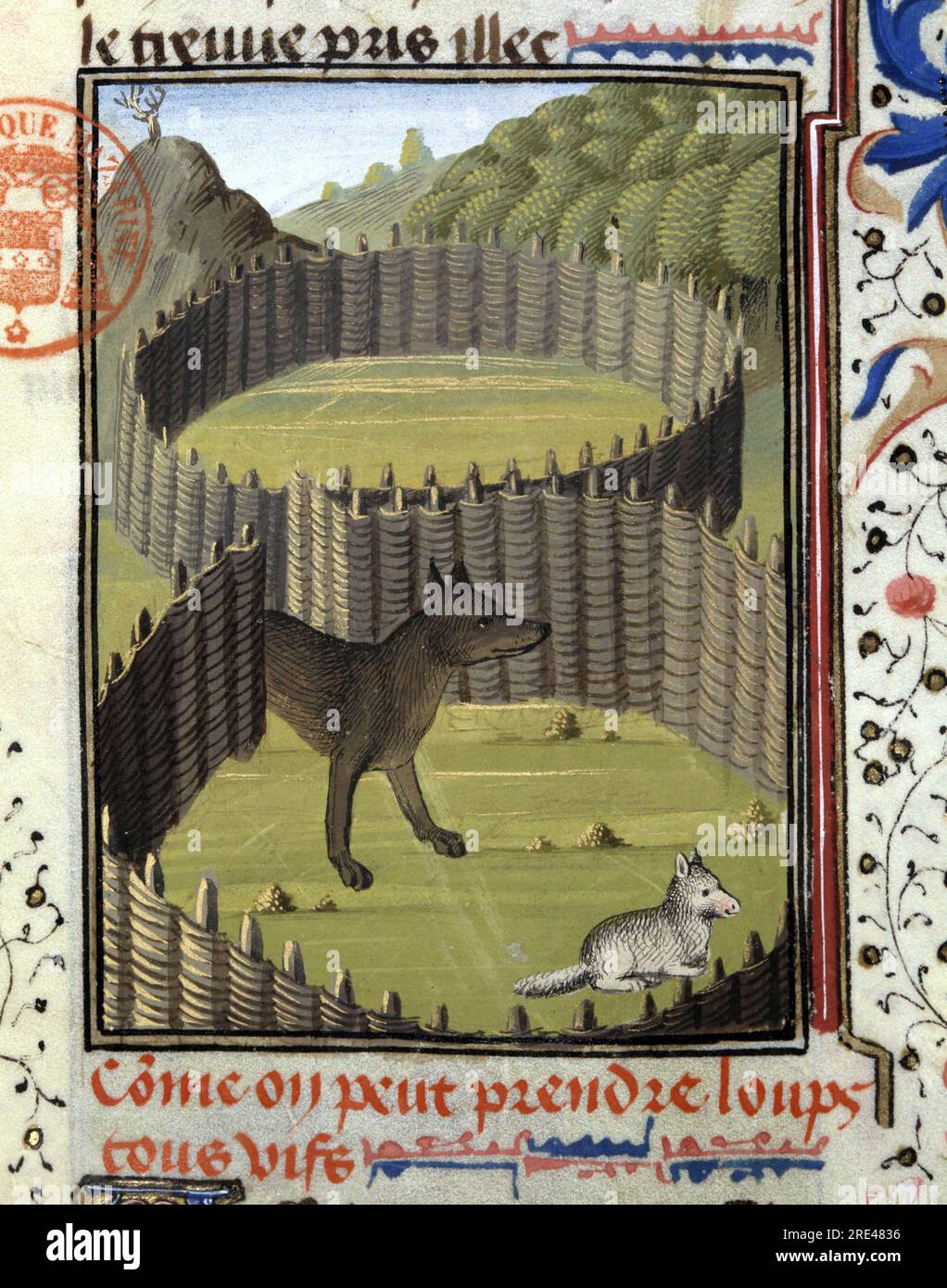 Livre de chasse - broché - Hélène Preveraud, Livre tous les Livre de chasse - broché - Hélène Preveraud, Livre tous les