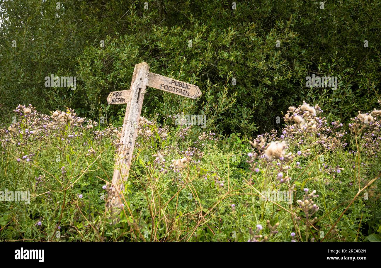 A traditional wooden sign in front of trees pointing out the routes of public footpaths in Billingshurst, West Sussex, UK. Stock Photo