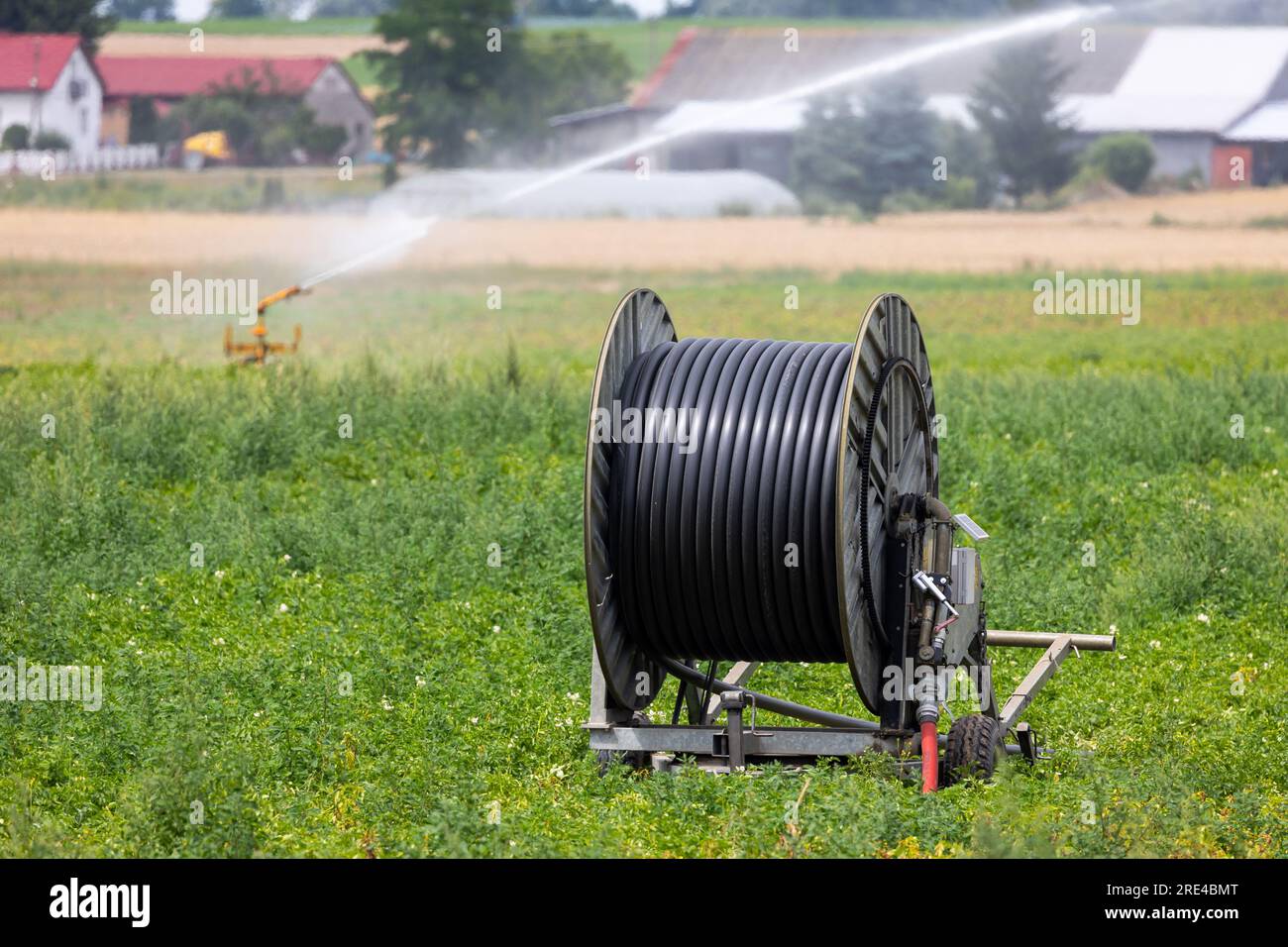 Water hose reel hi-res stock photography and images - Alamy