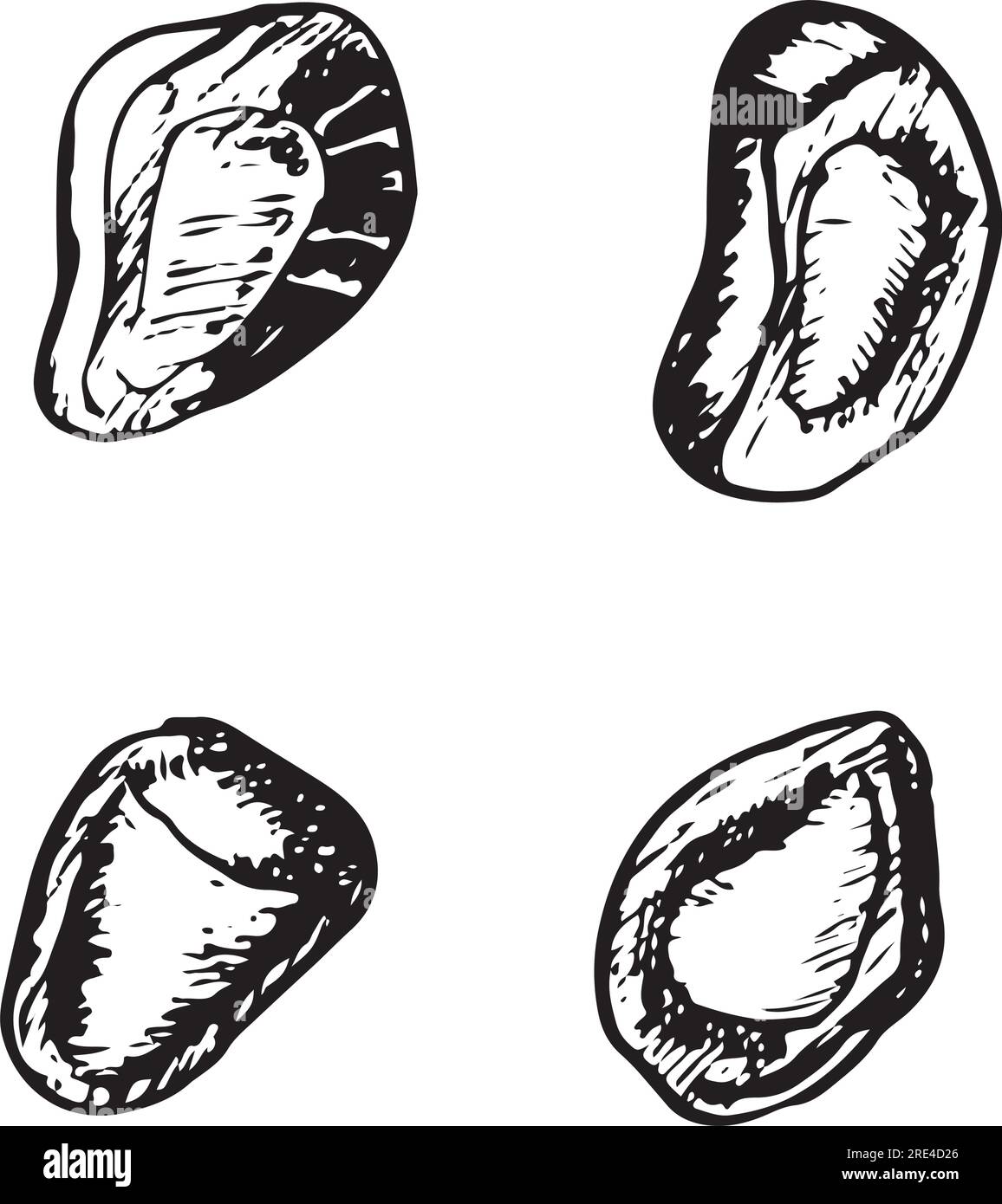 Pomegranate seeds vector graphic illustration set. Detailed botanical sketch art Stock Vector