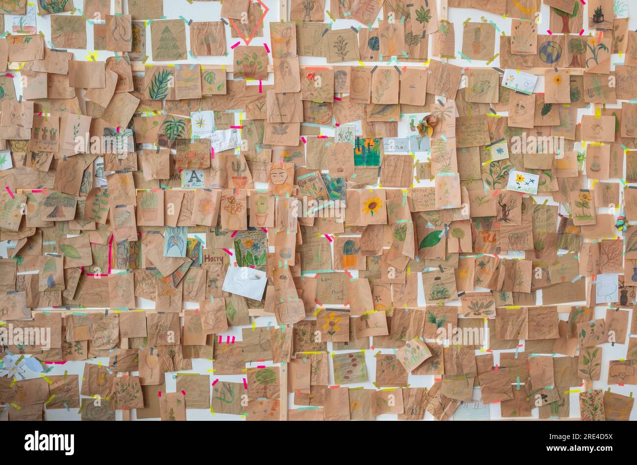 A wall covered with small drawings, sketches and thoughts on the topic of plants, vegetation and sustainability. Stock Photo