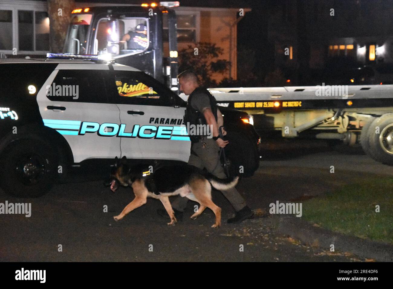 Paramus, United States. 25th July, 2023. A K-9 police dog assists in the search for the vehicle thieves. Car burglars were in the area of Ehret Street and Lawrence Drive in Paramus, New Jersey. Around 11:45 PM, Monday evening Paramus police were scouring the area for two males approximately 5'8, 140 lbs, dressed in all black. The car thieves crashed a stolen vehicle in the area of Ehret Street. Authorities had assistance from the K9 Unit of the Bergen County Sheriff's Office. The search continued into the morning hours on Tuesday. Credit: SOPA Images Limited/Alamy Live News Stock Photo