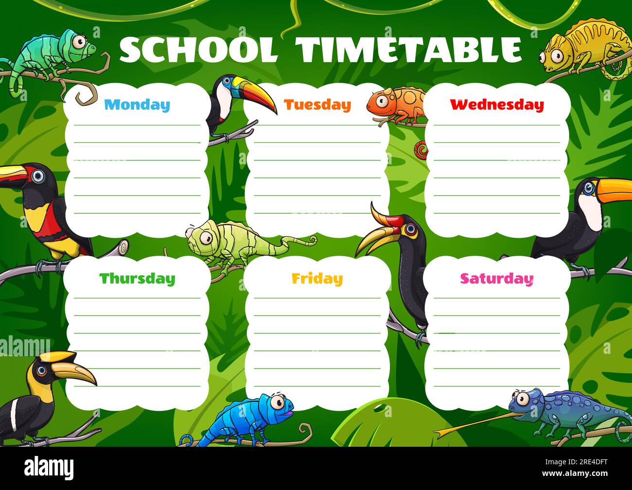 Education timetable with toucans and chameleons. Vector schedule with cartoon tropical birds and lizards on tropical palm leaves or lianas. School weekly time table template, student classes organizer Stock Vector