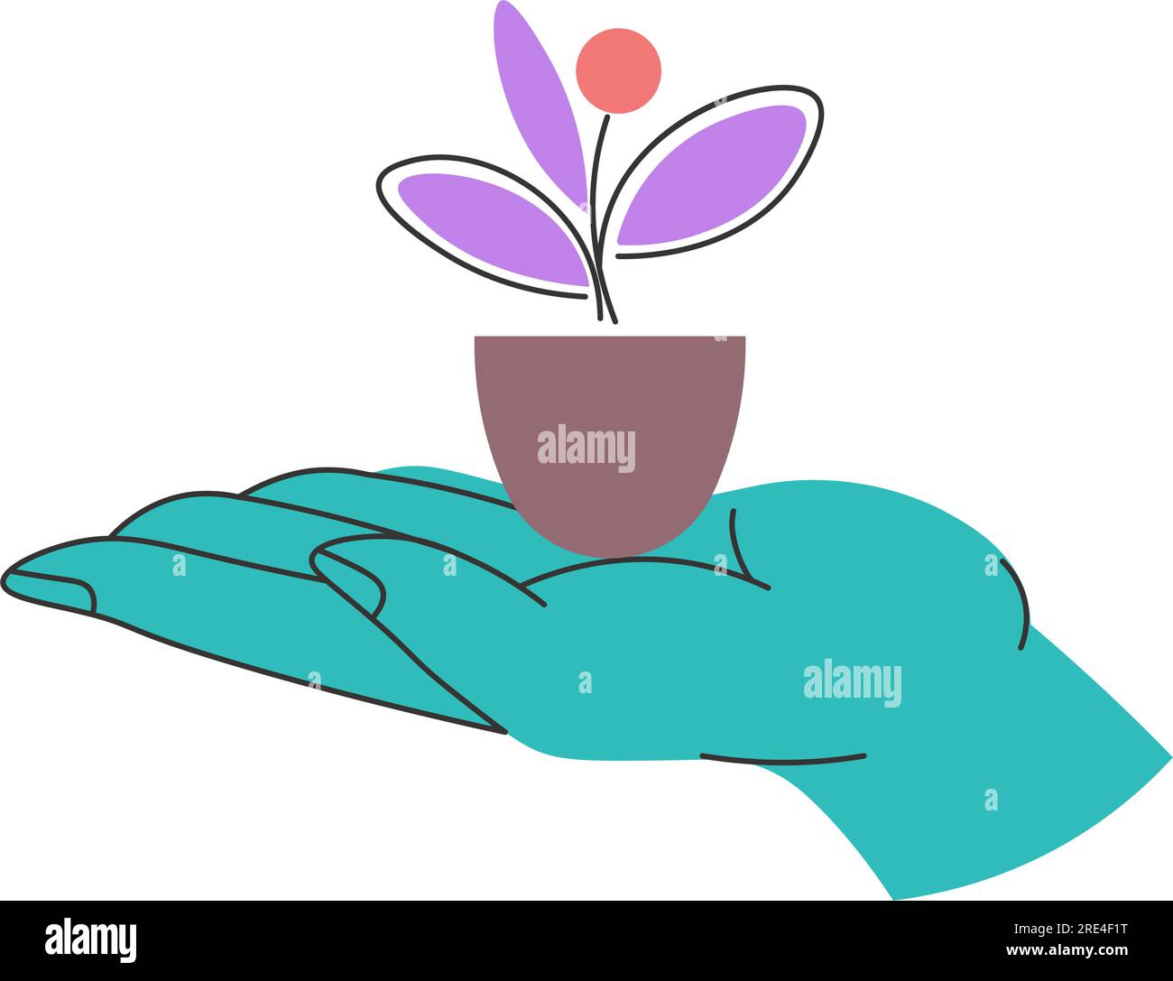 Houseplant with blooming flower and leaves, isolated hand holding potted flora. Orangery and gardening, growing botanic decoration for home. Spring an Stock Vector