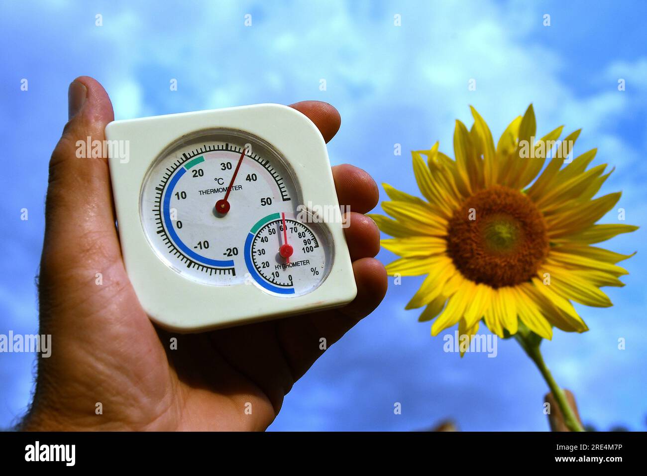 Illustration thermometer, hot, heat, tropical temperature, tropics, 34