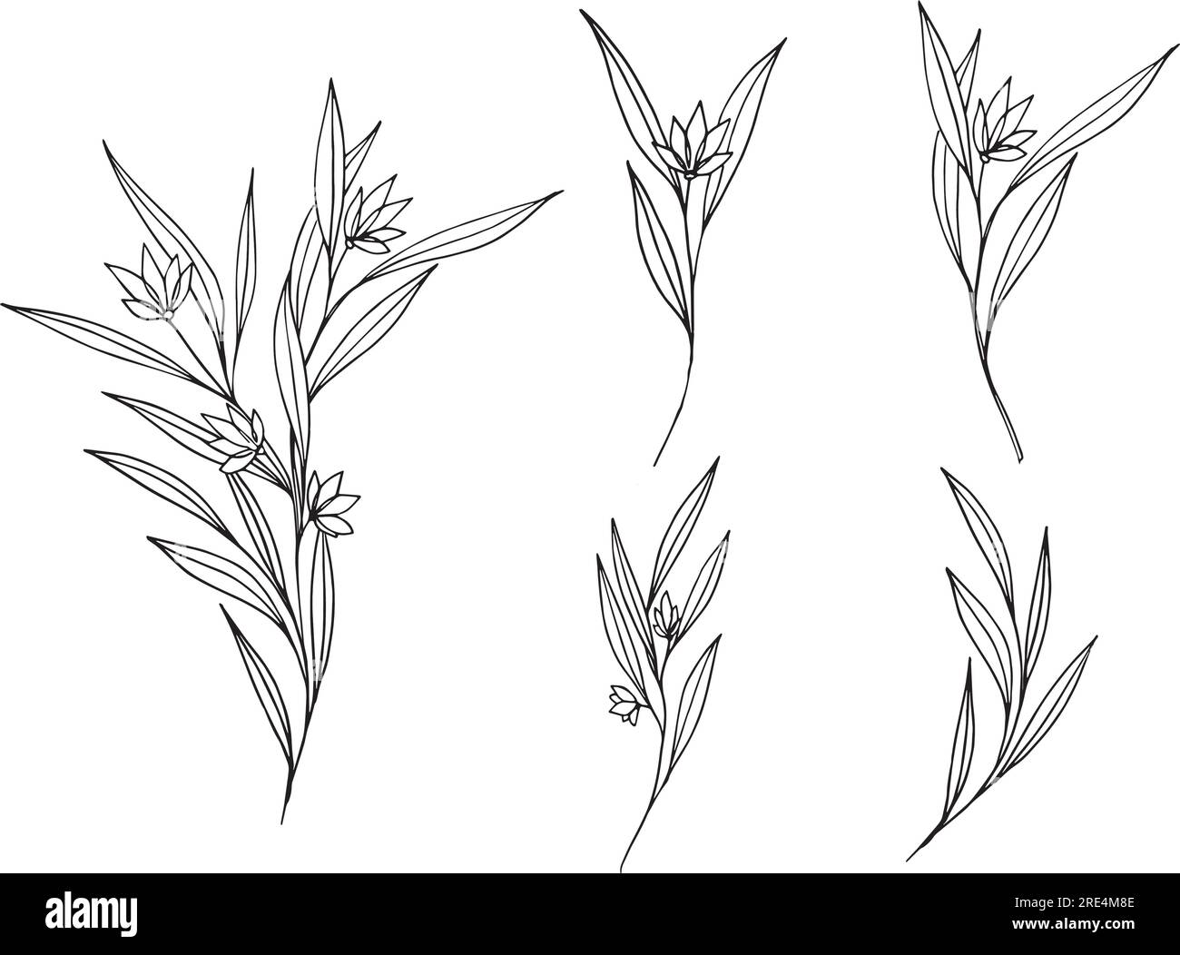 Set of premade botanical abstract line art composition and isolated ...