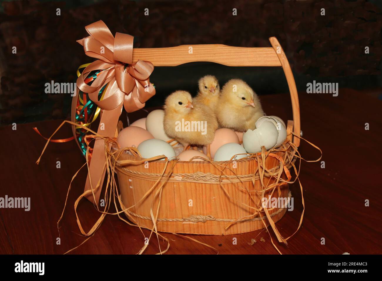 "Whose shell was this?" Three chicks wondering who left a mess after they hatched. Humorous Easter egg basket. Stock Photo