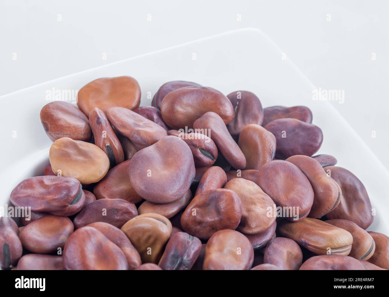 Egyptian raw Fava Beans Stock Photo Alamy