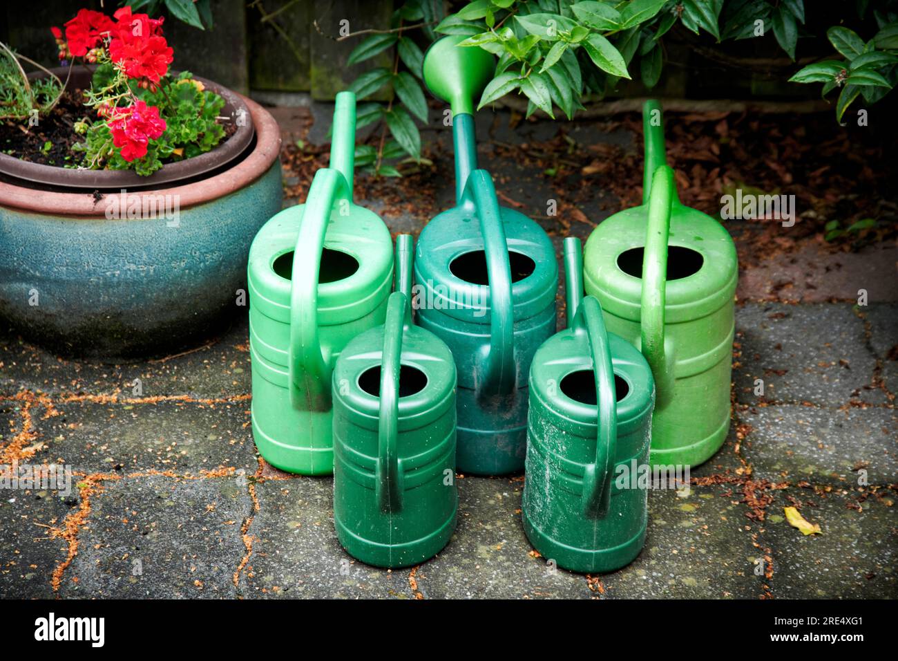 Grüne Gießkannen stehen sortiert in einem Garten zusammen. Stock Photo