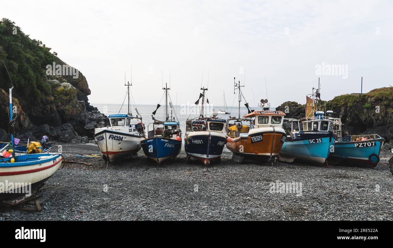 CADGWITH, CORNWALL, UK - JULY 1, 2023.  Traditional Cornish fishing boats out of the water and on the pebble beach at the popular tourist destination Stock Photo