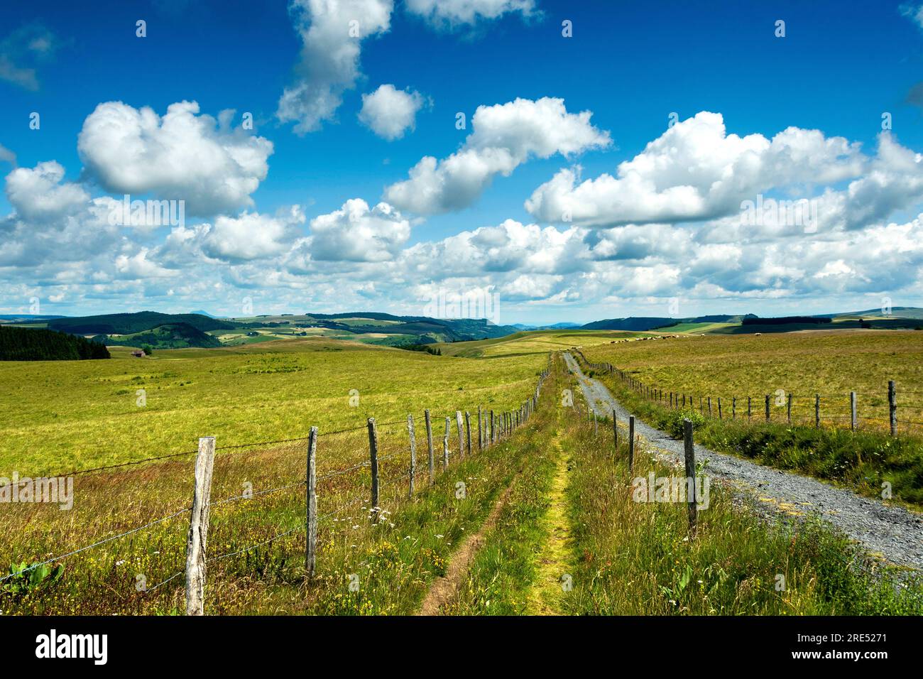 Plateau of Cezallier. Auvergne volcanoes regional natural park, Puy de Dome department, Auvergne-Rhone-Alpes.France Stock Photo