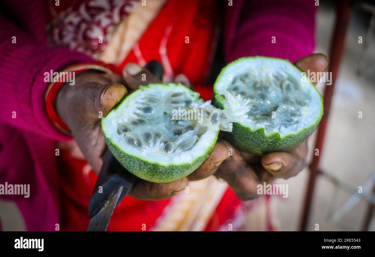 Inside of Passion Fruits Cultivated in the Hilltracks of Kodaikanal, Tamil Nadu, India Stock Photo