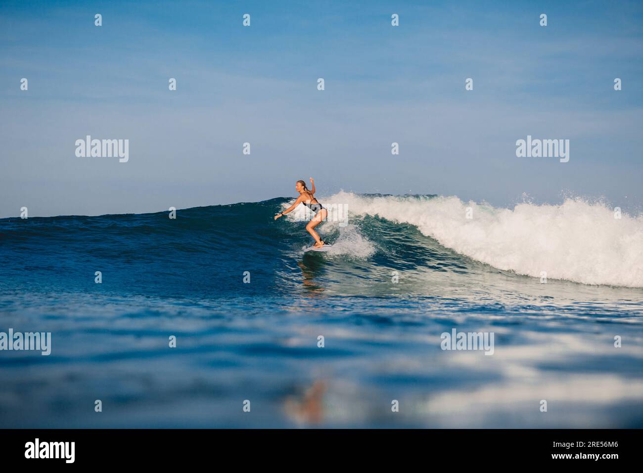 Morning light sale surfboards