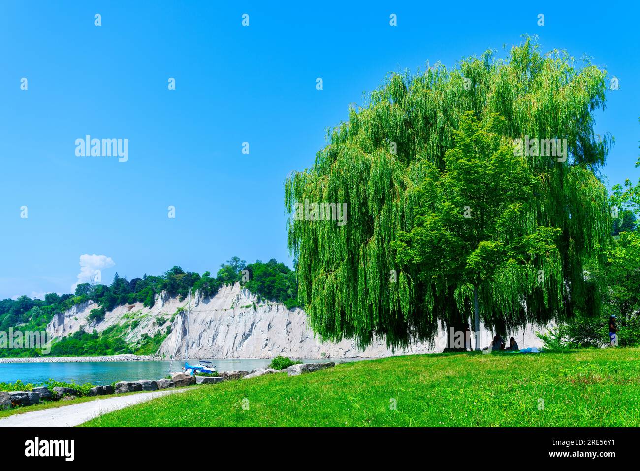 Toronto, Canada - July 23, 2023: People sitting below a lonely tree in the Scarborough Bluffs by Lake Ontario. The famous natural landmark is named Bl Stock Photo