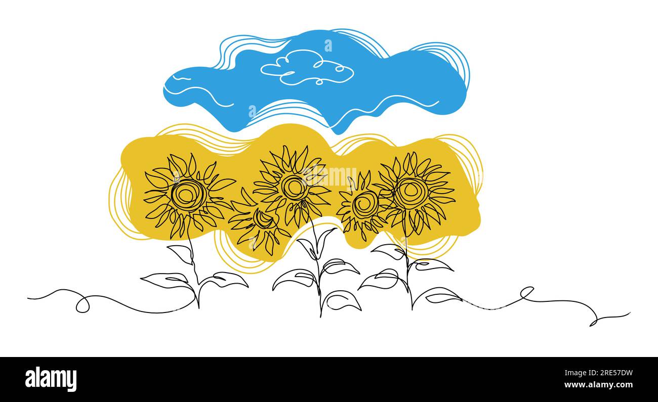 Sunflower field sky in ukraine Stock Vector Images Alamy