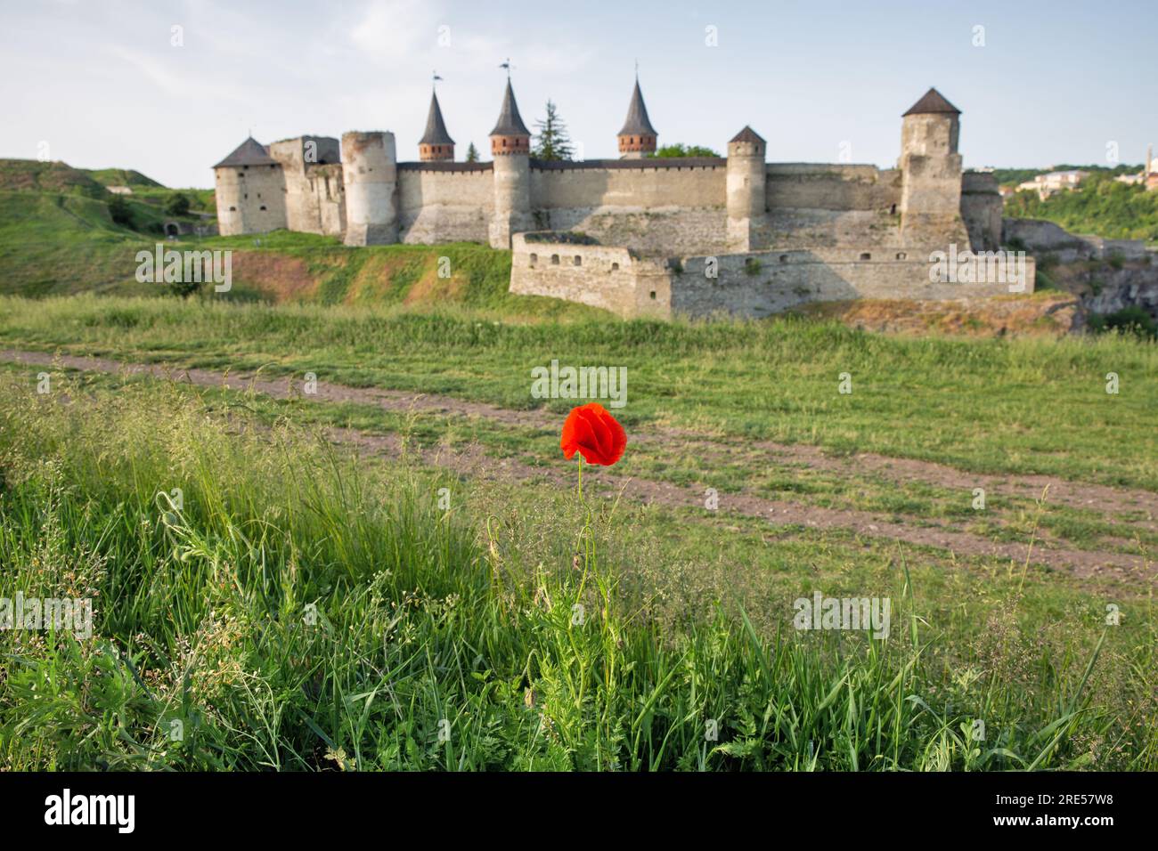 Blooming poppy in front of Castle in the historic part of Kamianets-Podilskyi, Ukraine. It is a former Ruthenian-Lithuanian castle and a later three-p Stock Photo