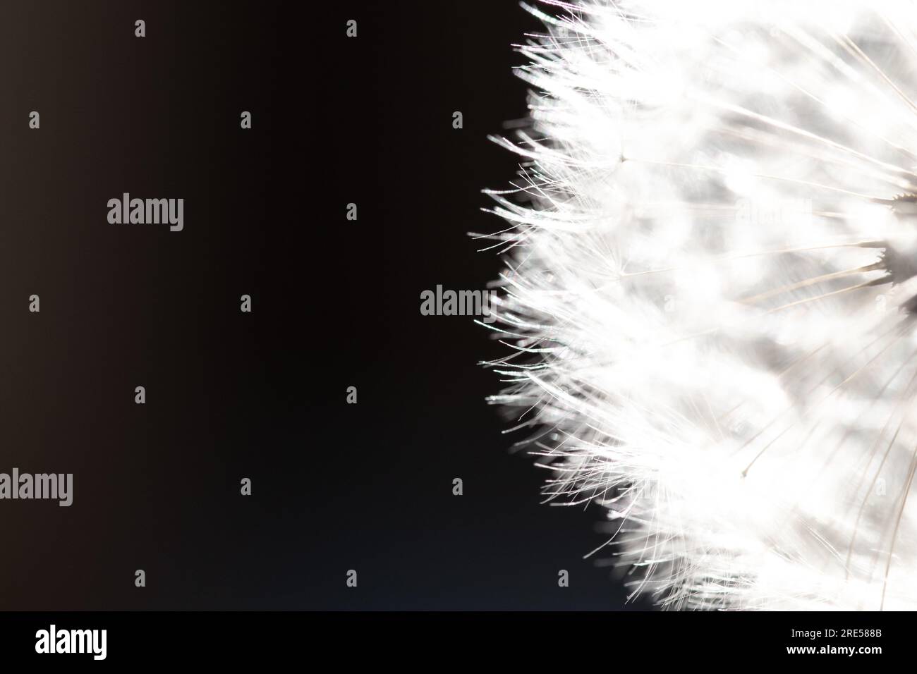 Transient Space royalty-free images - Shutterstock