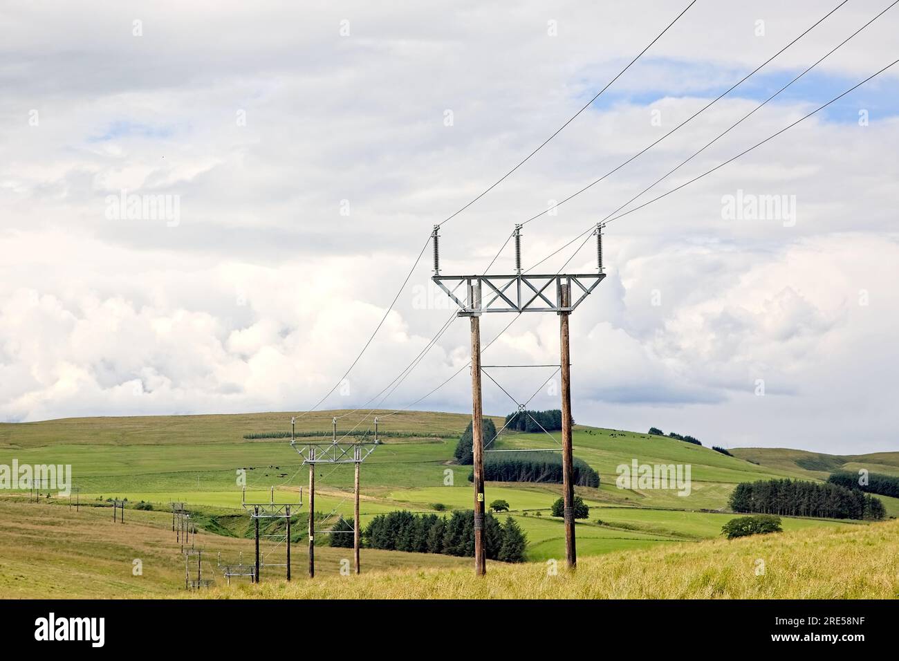 Row of power line cables on wooden polls running across Scottish farm land Stock Photo