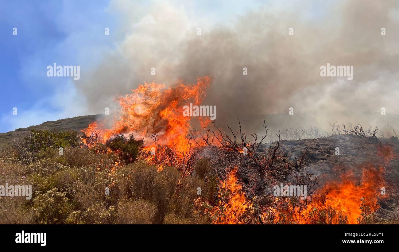 Fire burns vegetation in the central part of the Greek island of Rhodes, on July 25, 2023. (CTK Photo/Pavel Nemecek) Stock Photo