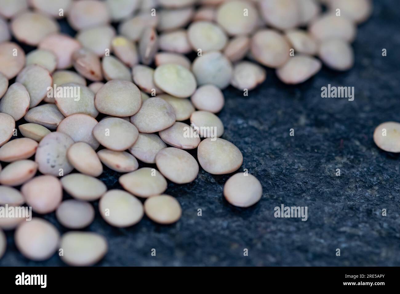 Macro of lentils. Traditional italian food lentis details Stock Photo