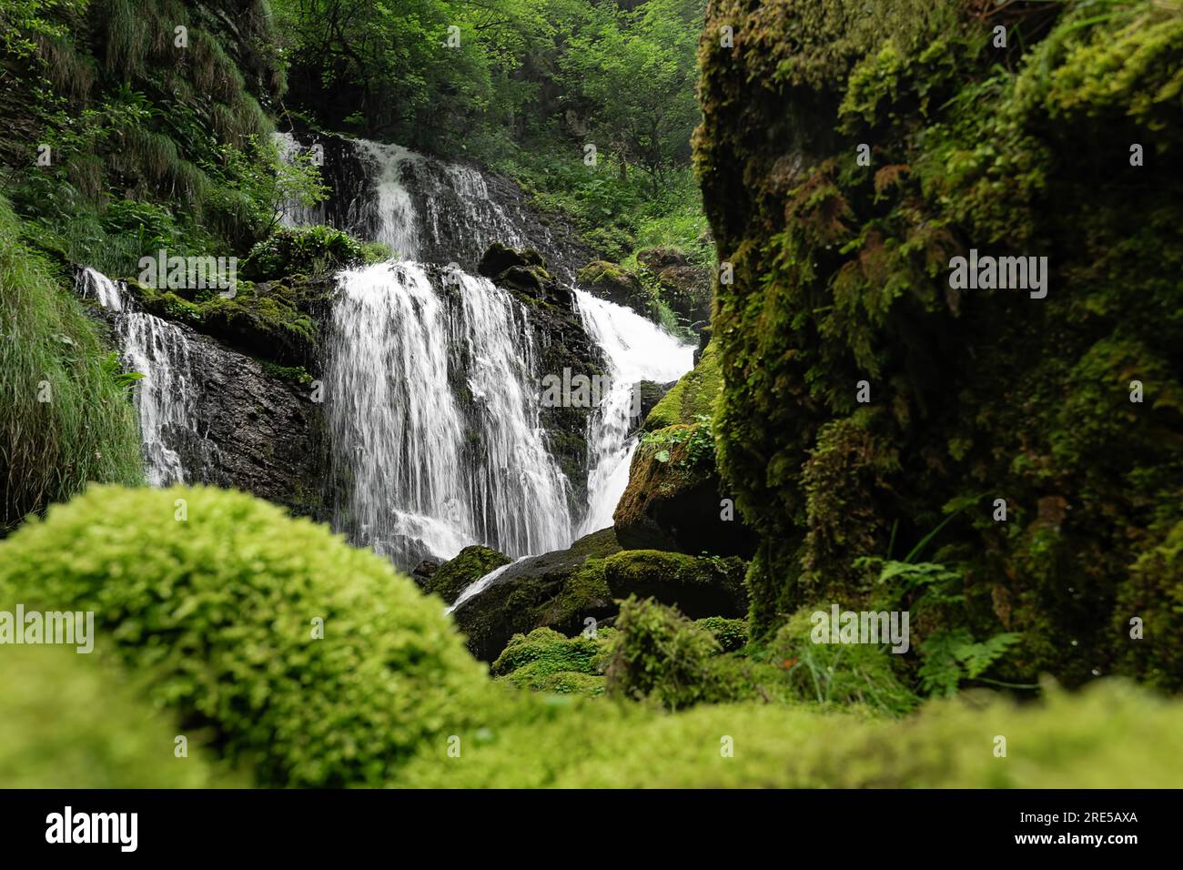 The green waterfalls, Italy landscape in the wild Alps Stock Photo