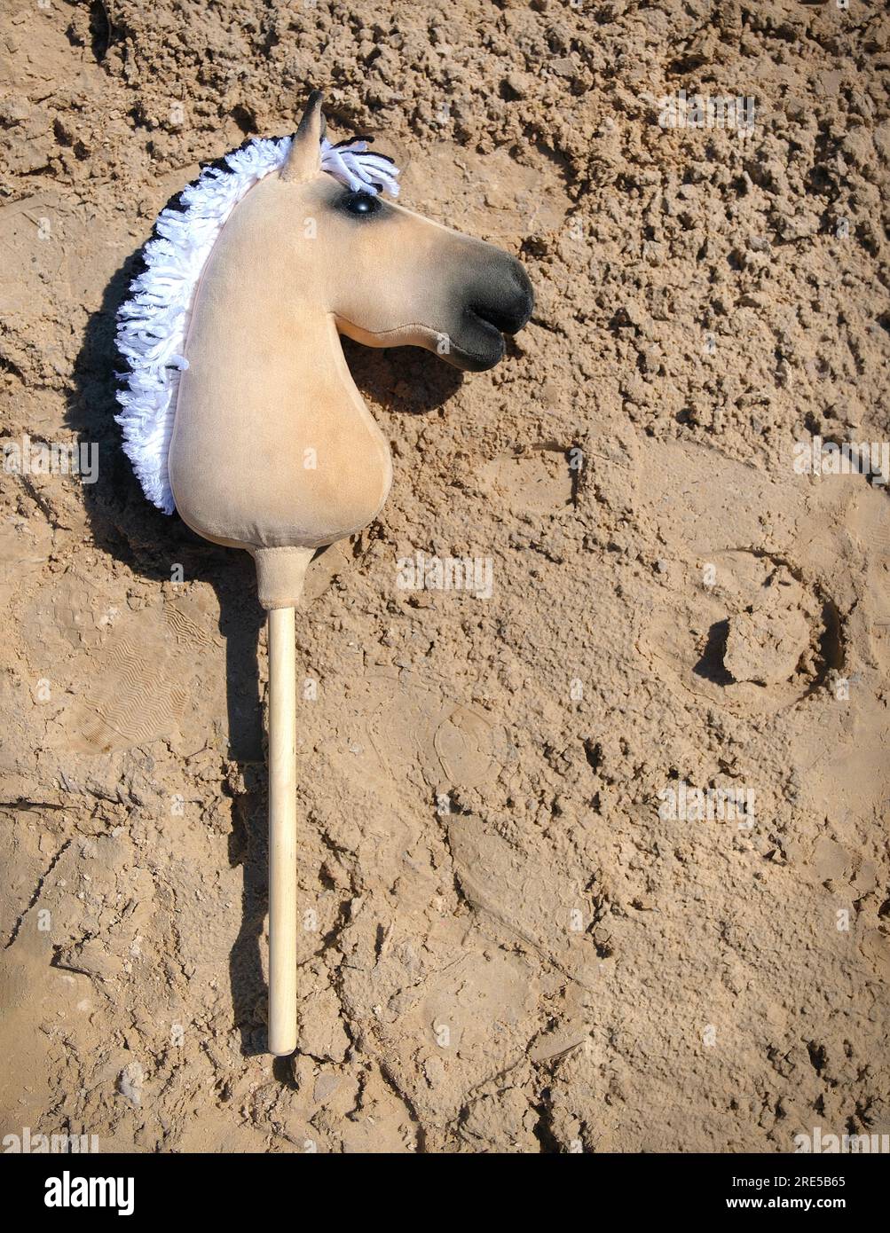 Stick horse, hobby horse. Equestrian sports. Equestrian equipment