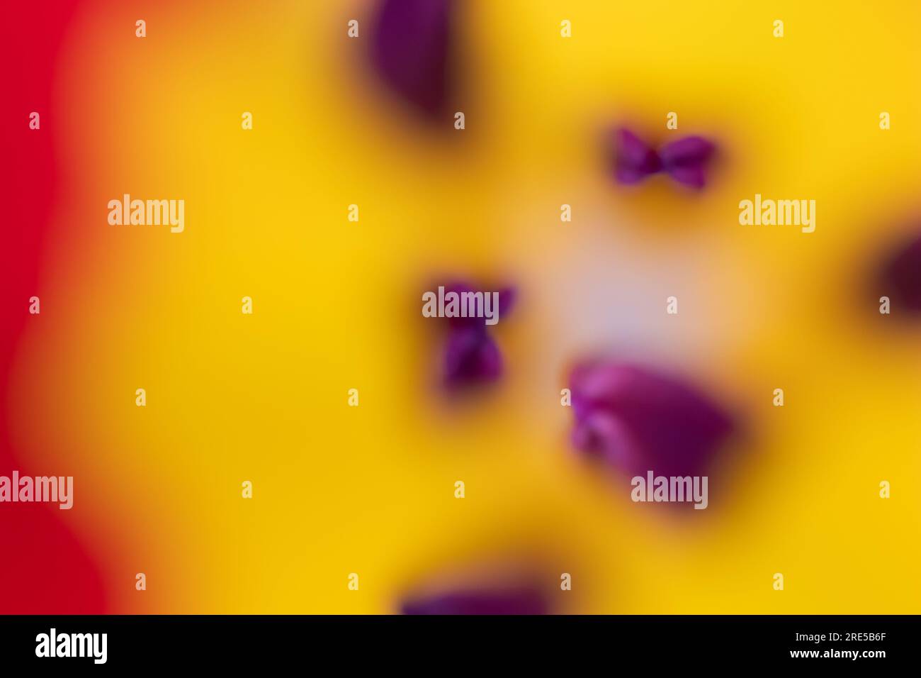 Abstract floreal background made with tulips macro close-up blurred. Abstract colorful background Stock Photo
