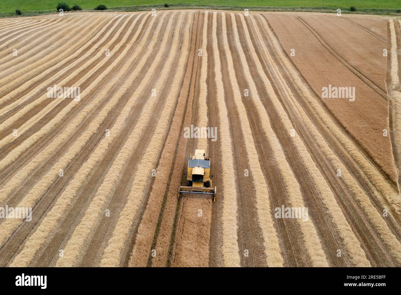 Aerial drone view of a New Holland Combine Harvester harvesting a crop near Cardenden, Fife, Scotland. Stock Photo