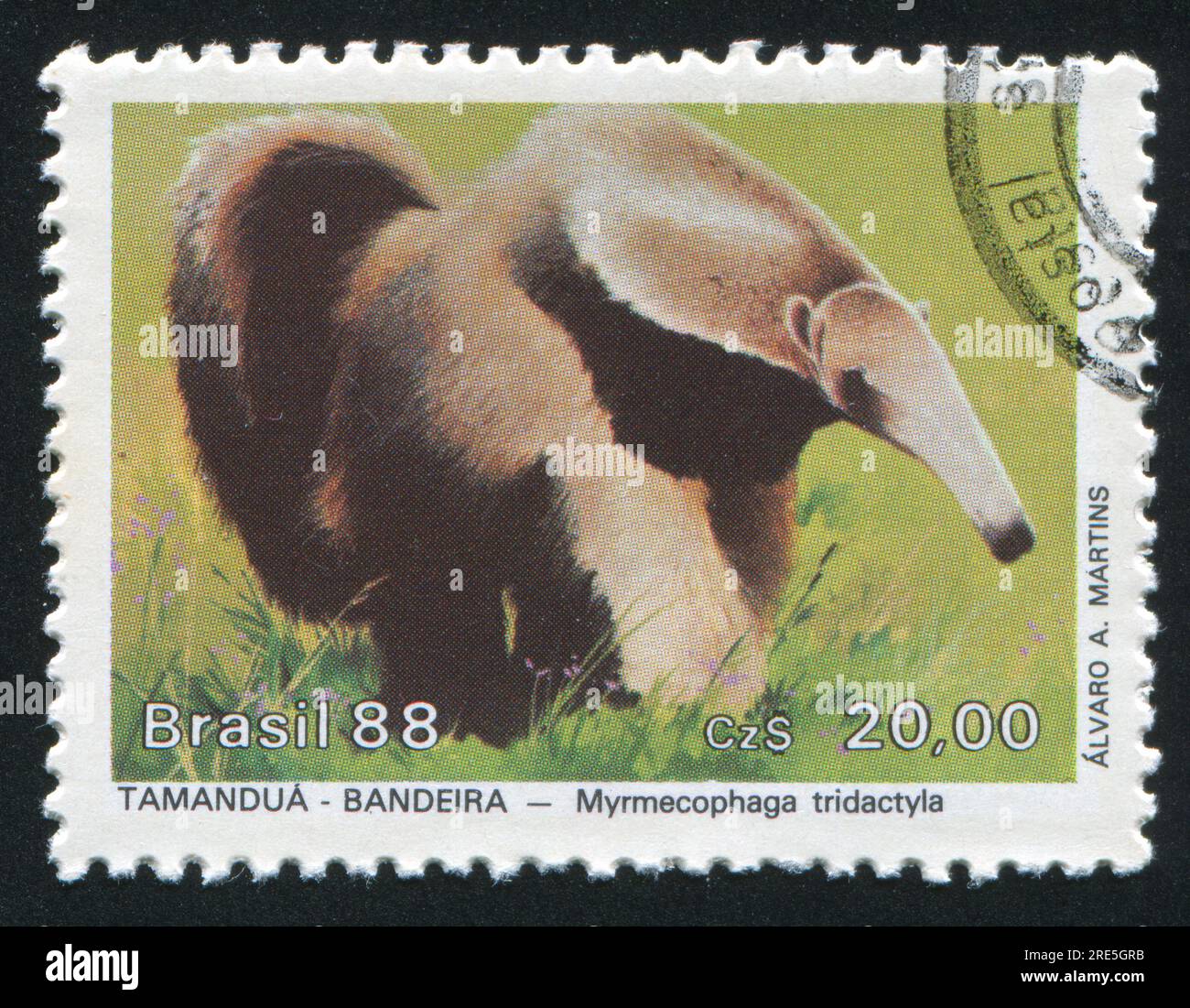 BRAZIL - CIRCA 1988: stamp printed by Brazil, shows  Myrmecophaga tridactyla, circa 1988 Stock Photo