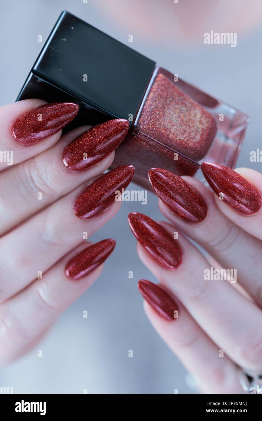 Woman hand with long nails and a bottle of dark red burgundy nail polish  Stock Photo - Alamy