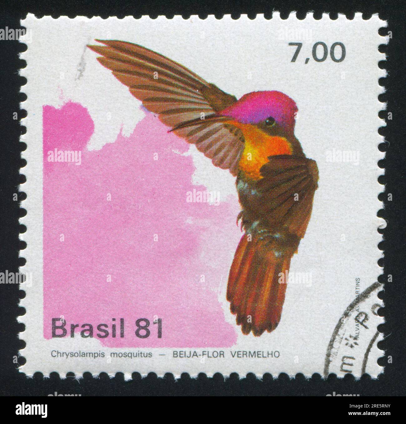 BRAZIL - CIRCA 1981: stamp printed by Brazil, shows  Hummingbird, Chrysolampis mosquitus, circa 1981 Stock Photo