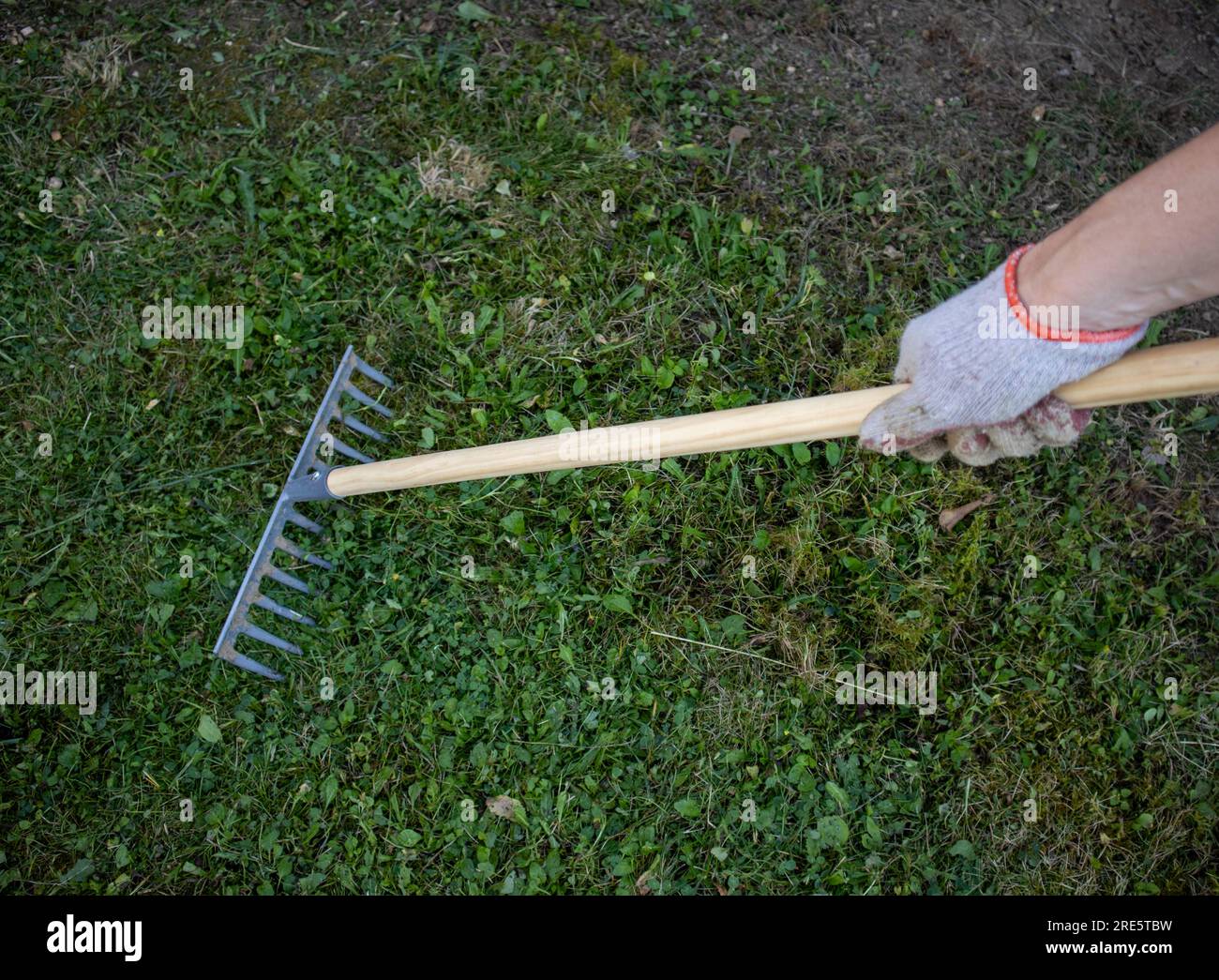 The gardener is raking the grass in the park Stock Photo