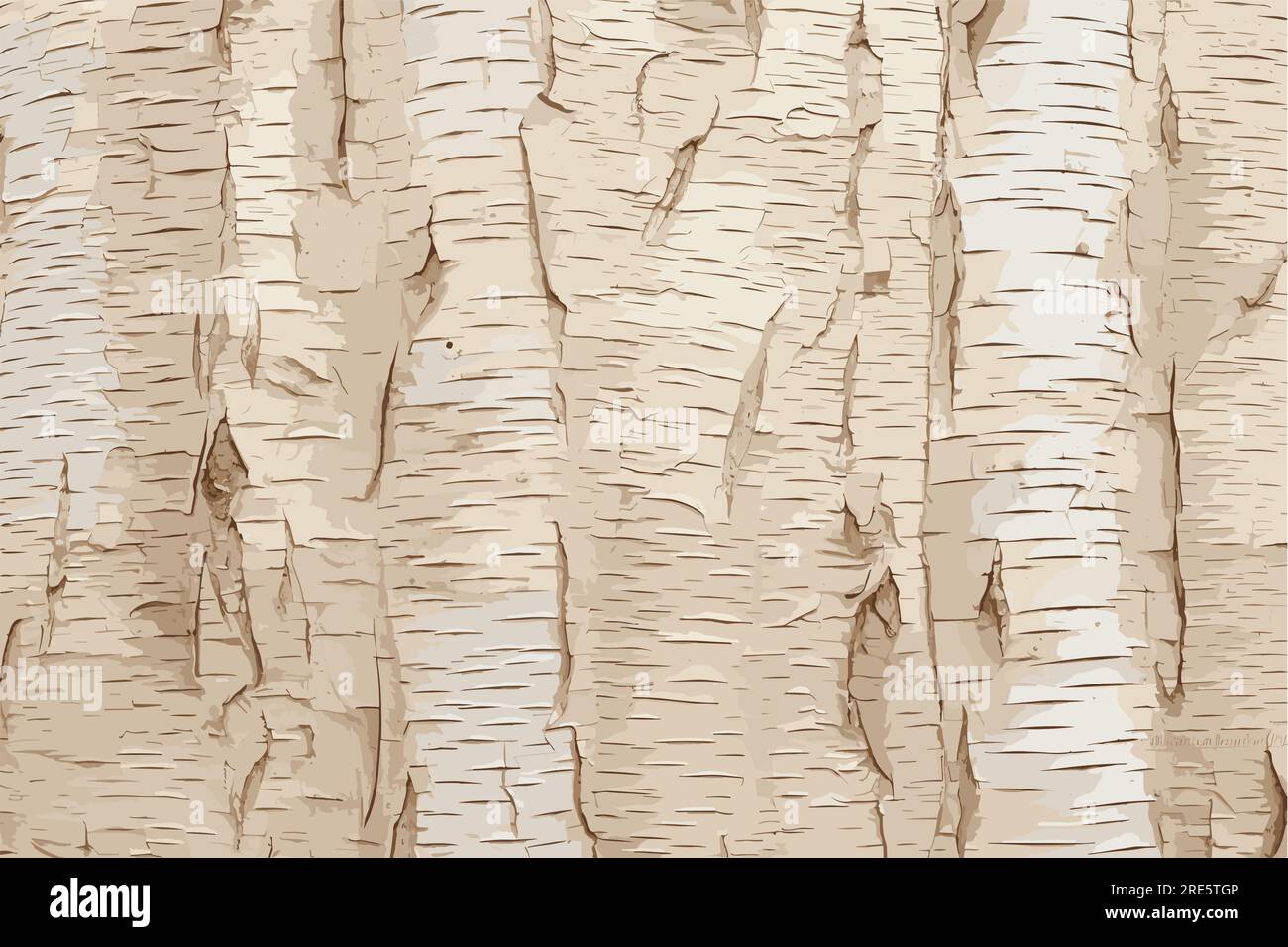 Free download White Birch Bark Wallpaper Birch bark closeup photo  1024x768 for your Desktop Mobile  Tablet  Explore 39 White Birch Bark  Wallpaper  Birch Bark Wallpaper with Texture White Birch