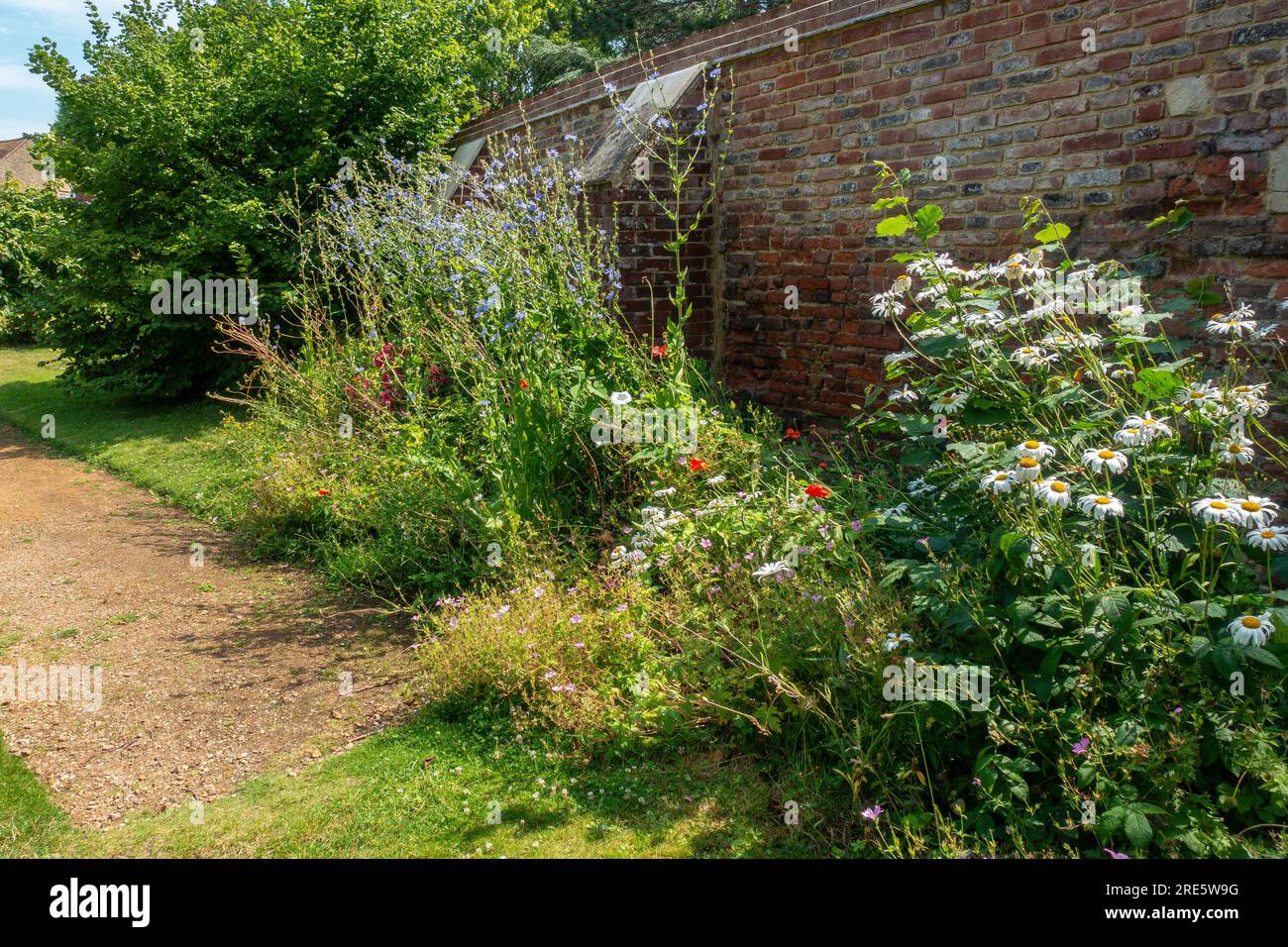 Wildflower Border,Nearing the end of the ,flowering season Stock Photo
