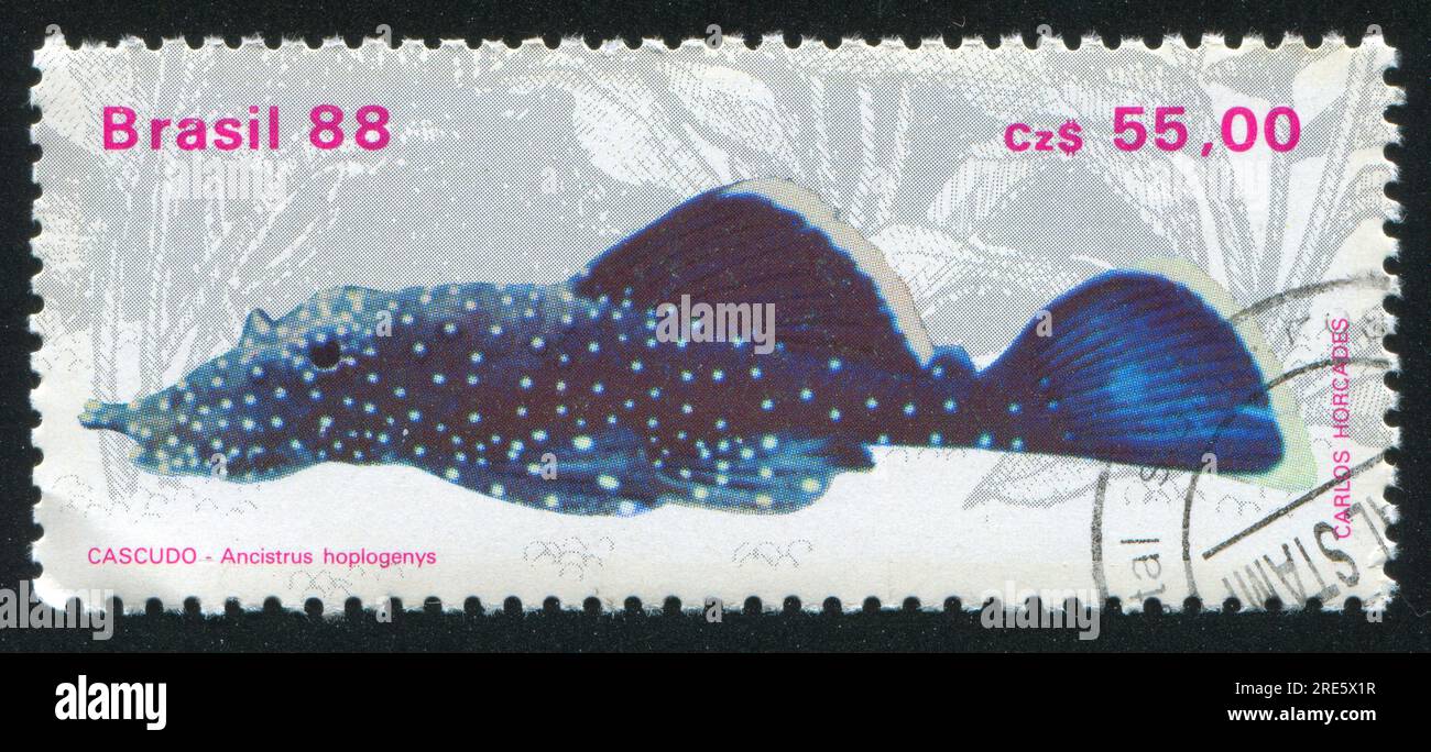 BRAZIL - CIRCA 1988: stamp printed by Brazil, shows  Fresh-water Fish, Ancistrus hoplogenys, circa 1988 Stock Photo