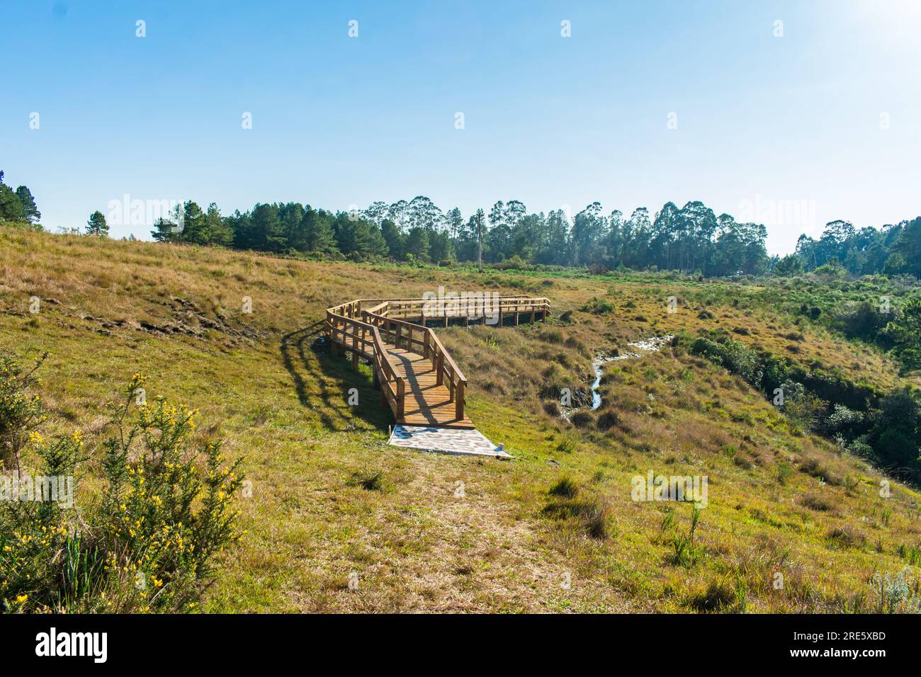 Footbridge at Ronda Municipal Park in Sao Francisco de Paula, South of Brazil Stock Photo