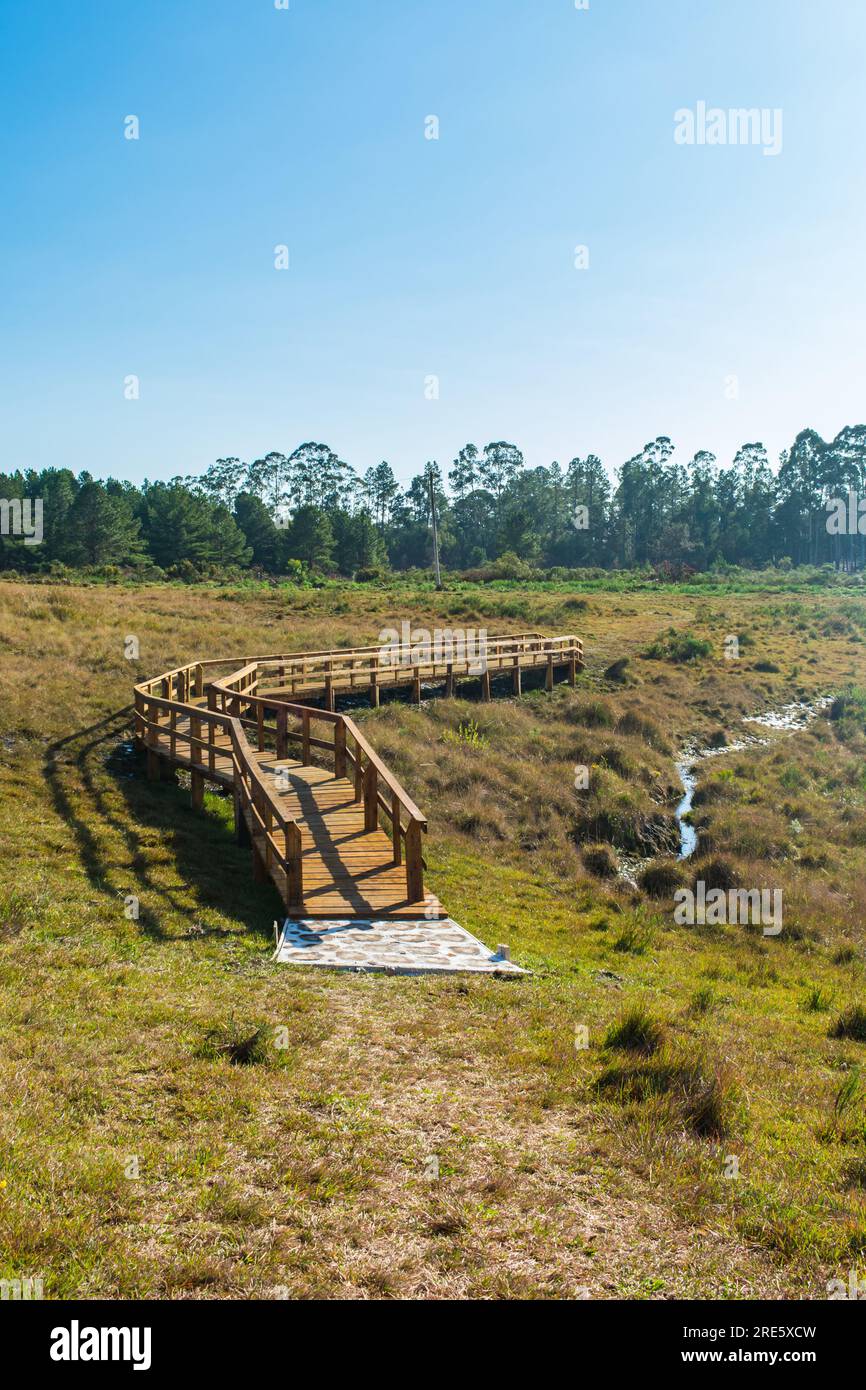 Footbridge at Ronda Municipal Park in Sao Francisco de Paula, South of Brazil Stock Photo