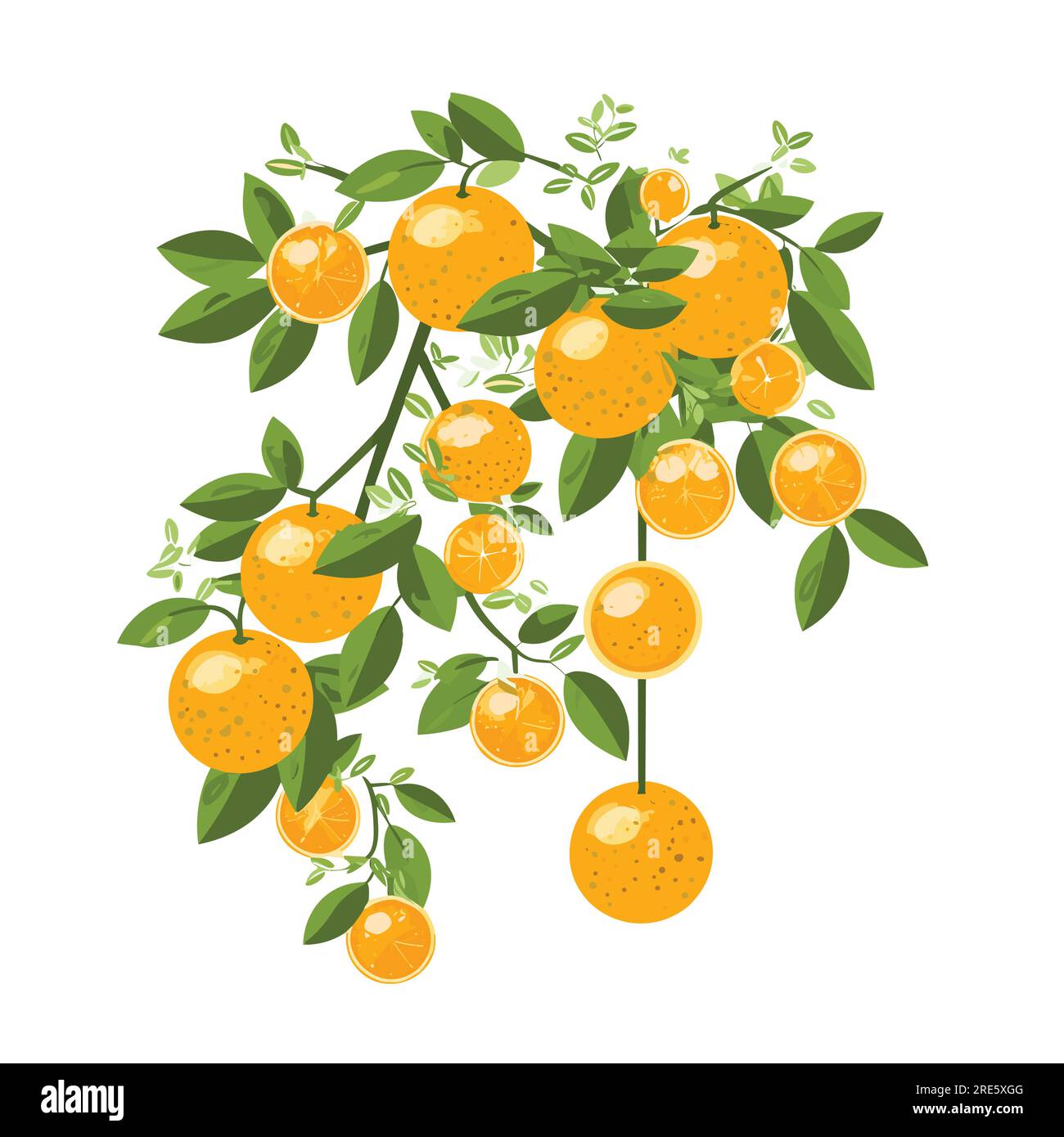 Oranges and lemons vector flat minimalistic isolated Stock Vector Image