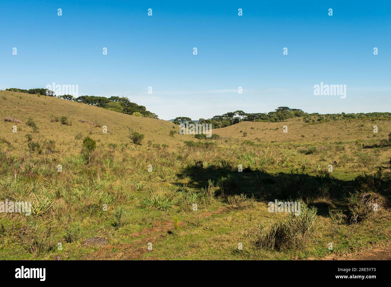 Hilly landscape at Parque da Ronda in Sao Francisco de Paula, South of Brazil Stock Photo